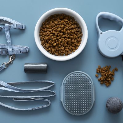 best pet accessories online