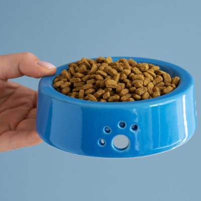 best pet accessories online