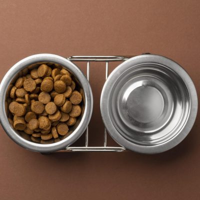 best pet accessories online